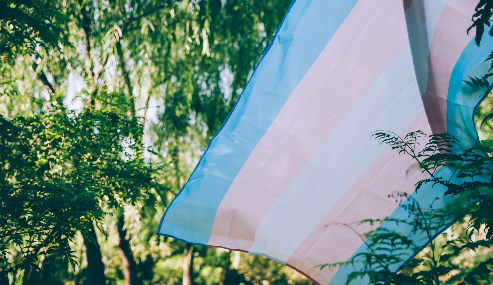 12. Trans Onur Haftası gönüllülerini arıyor! Kaos GL - LGBTİ+ Haber Portalı