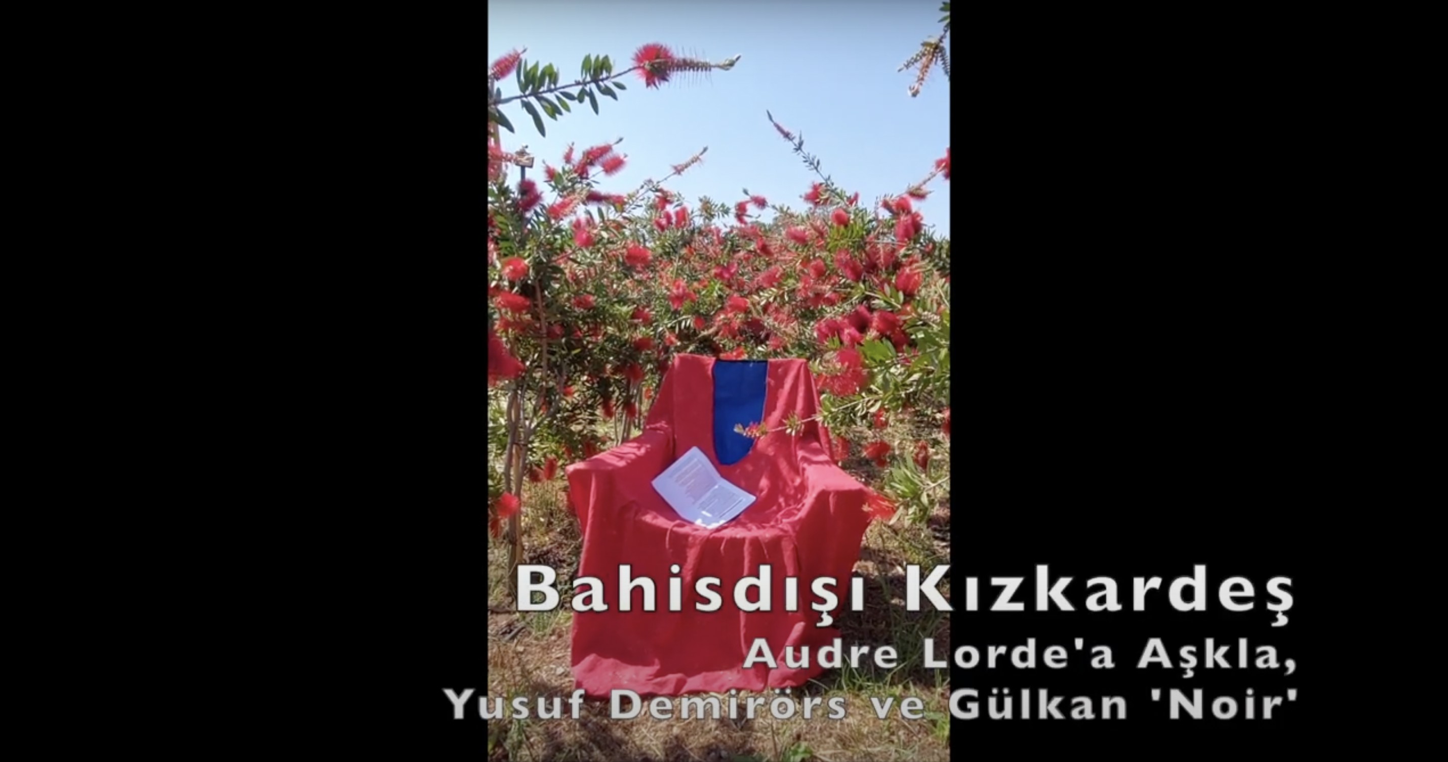 17 Mayıs sürprizi: Bahisdışı Kız Kardeş, Şair Audre Lorde'a Aşkla, Hürmetle… Kaos GL - LGBTİ+ Haber Portalı