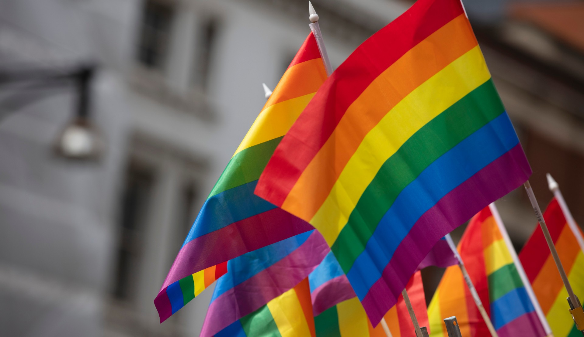450’yi aşkın uluslararası örgütten “Ailem Güvende” operasyonuna tepki: “Türkiye’deki LGBTİ+ hareketini kriminalize etmekten vazgeçin!” Kaos GL - LGBTİ+ Haber Portalı