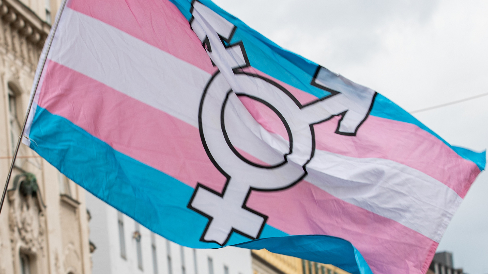 Ağustos, 2024 itibariyle Trans Tarih Ayı olarak kutlanacak | Kaos GL - LGBTİ+ Haber Portalı Haber