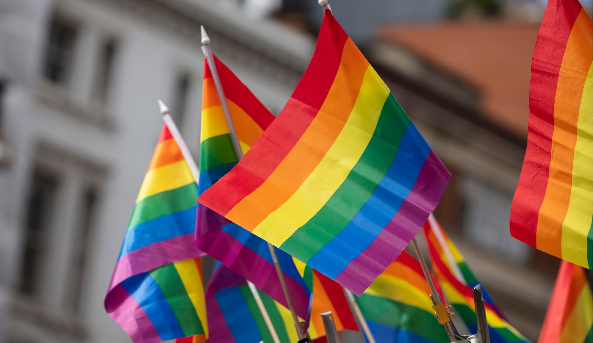 “Ailem Güvende” operasyonunda 107 hesaba daha erişim engeli talebi | Kaos GL - LGBTİ+ Haber Portalı