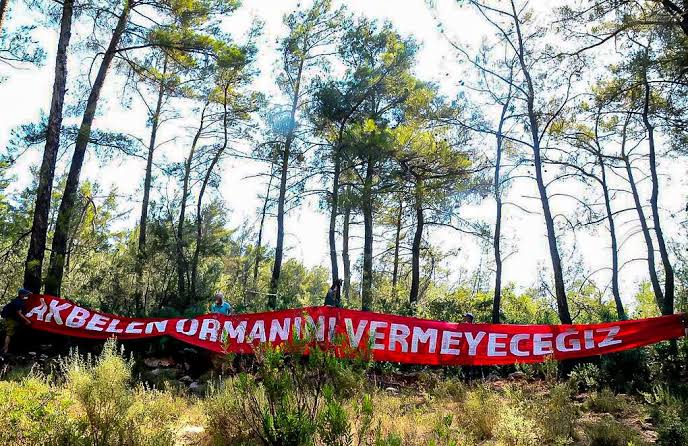 Akbelen Ormanı’nda talan sürerken queer ekolojiyi savunmak | Kaos GL - LGBTİ+ Haber Portalı