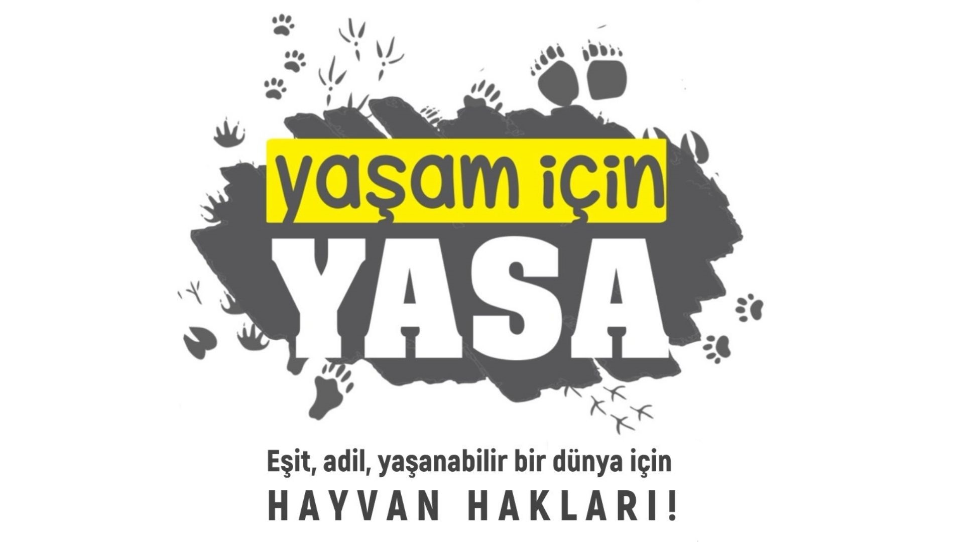 “Amacımız, hayvan, insan, işçi, kadın, çocuk, engelli, LGBTİ+’ların yaşam hakları ihlallerine karşı adalet söylemi geliştirmek” | Kaos GL - LGBTİ+ Haber Portalı