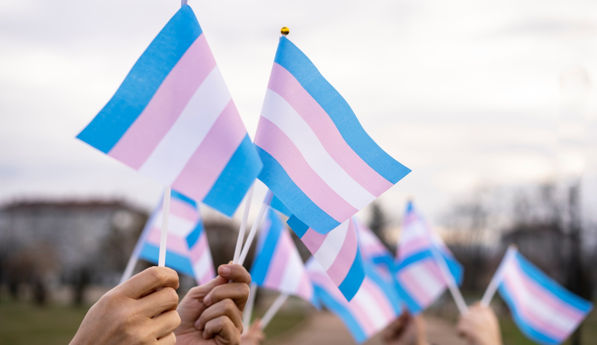 Ankara merkezli operasyonlarda 9 trans kadın tutuklandı! Kaos GL - LGBTİ+ Haber Portalı