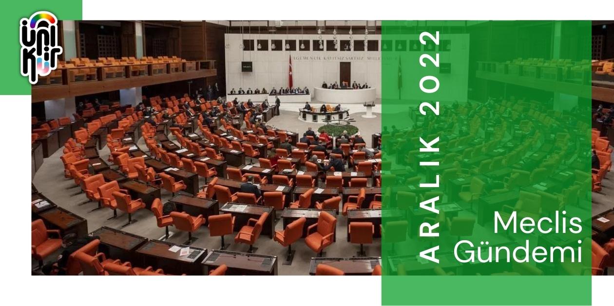 Aralık 2022: LGBTİ+'lar Meclis gündeminin neresinde? Kaos GL - LGBTİ+ Haber Portalı