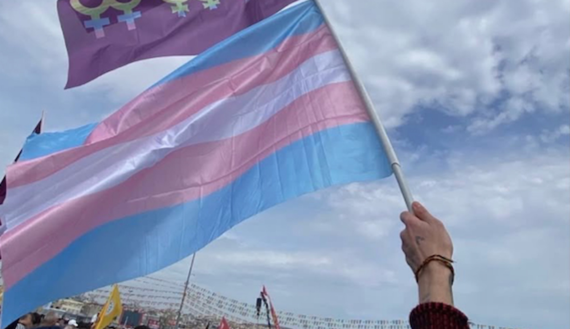 Attack on LGBTI+ individuals during Istanbul Newroz celebration Kaos GL - News Portal for LGBTI+