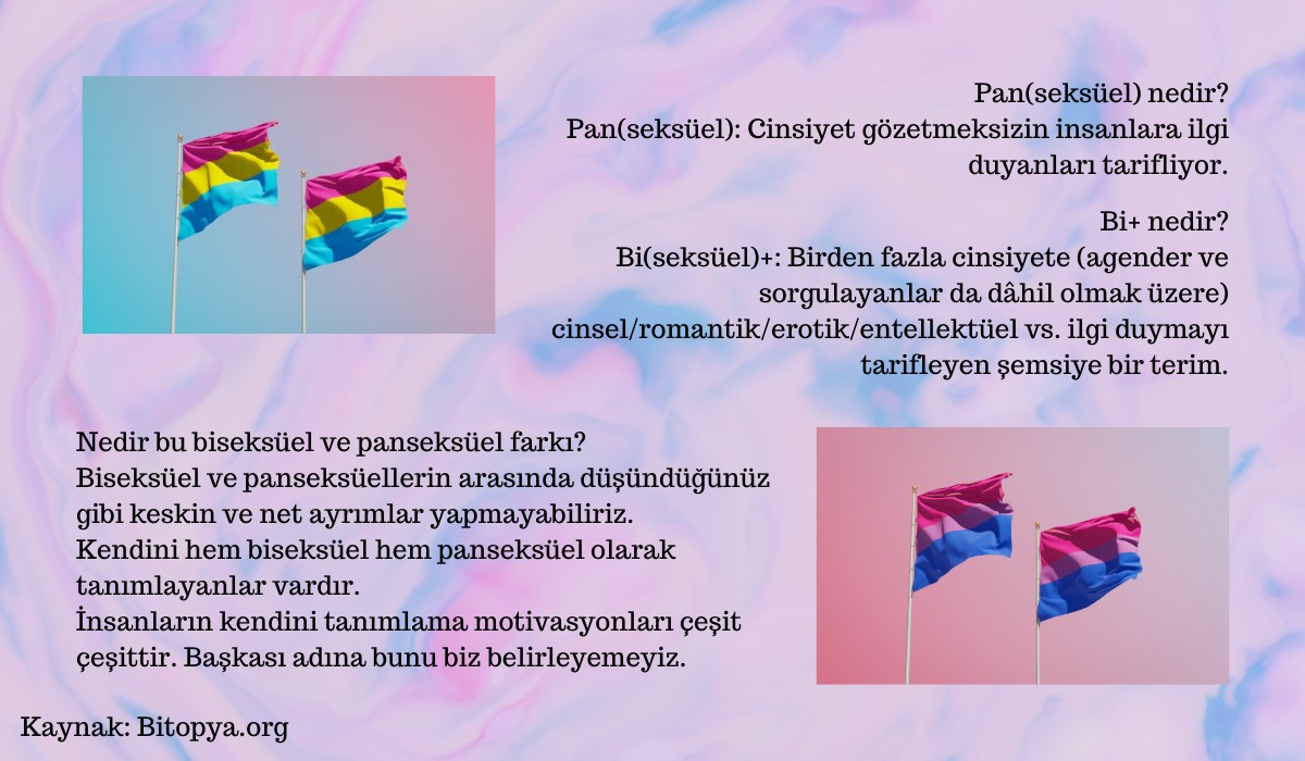 Biseksüel+ ve panseksüel arasındaki fark nedir? Kaos GL - LGBTİ+ Haber Portalı