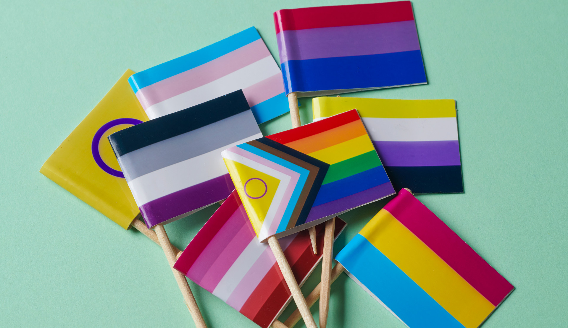 Brüksel merkezli kuir ve trans bir alan: “herhalde” Kaos GL - LGBTİ+ Haber Portalı