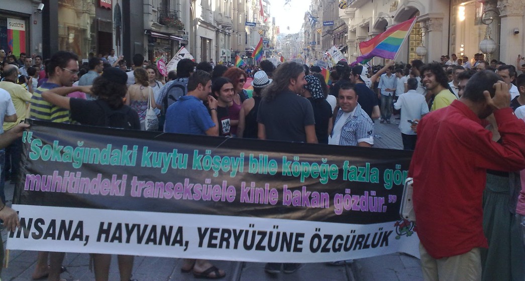 Burak Özgüner’in anısına: Belleksizleşirken hayvanlar | Kaos GL - LGBTİ+ Haber Portalı