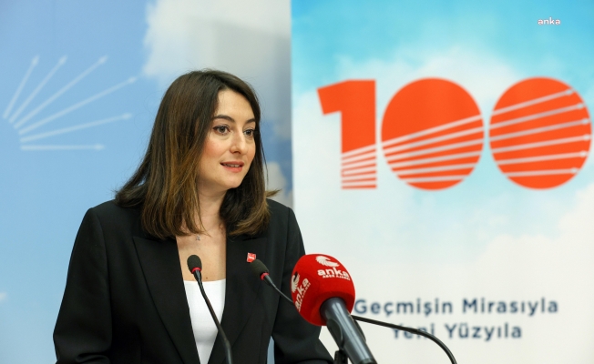 CHP Milletvekili Aysu Bankoğlu: “Saray rejimi, toplumu cinsiyetsizlik tehlikesi gibi hayali düşmanlarla oyalıyor” Kaos GL - LGBTİ+ Haber Portalı