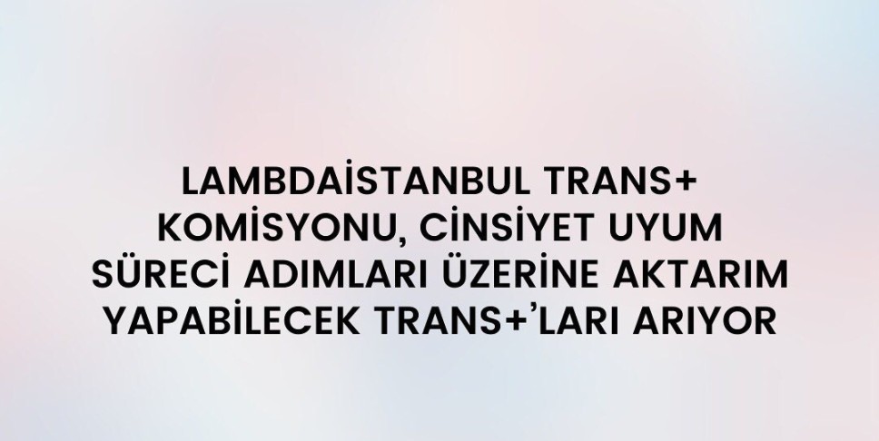 “Cinsiyet Uyum Kılavuzu” deneyim aktarımlarını bekliyor Kaos GL - LGBTİ+ Haber Portalı