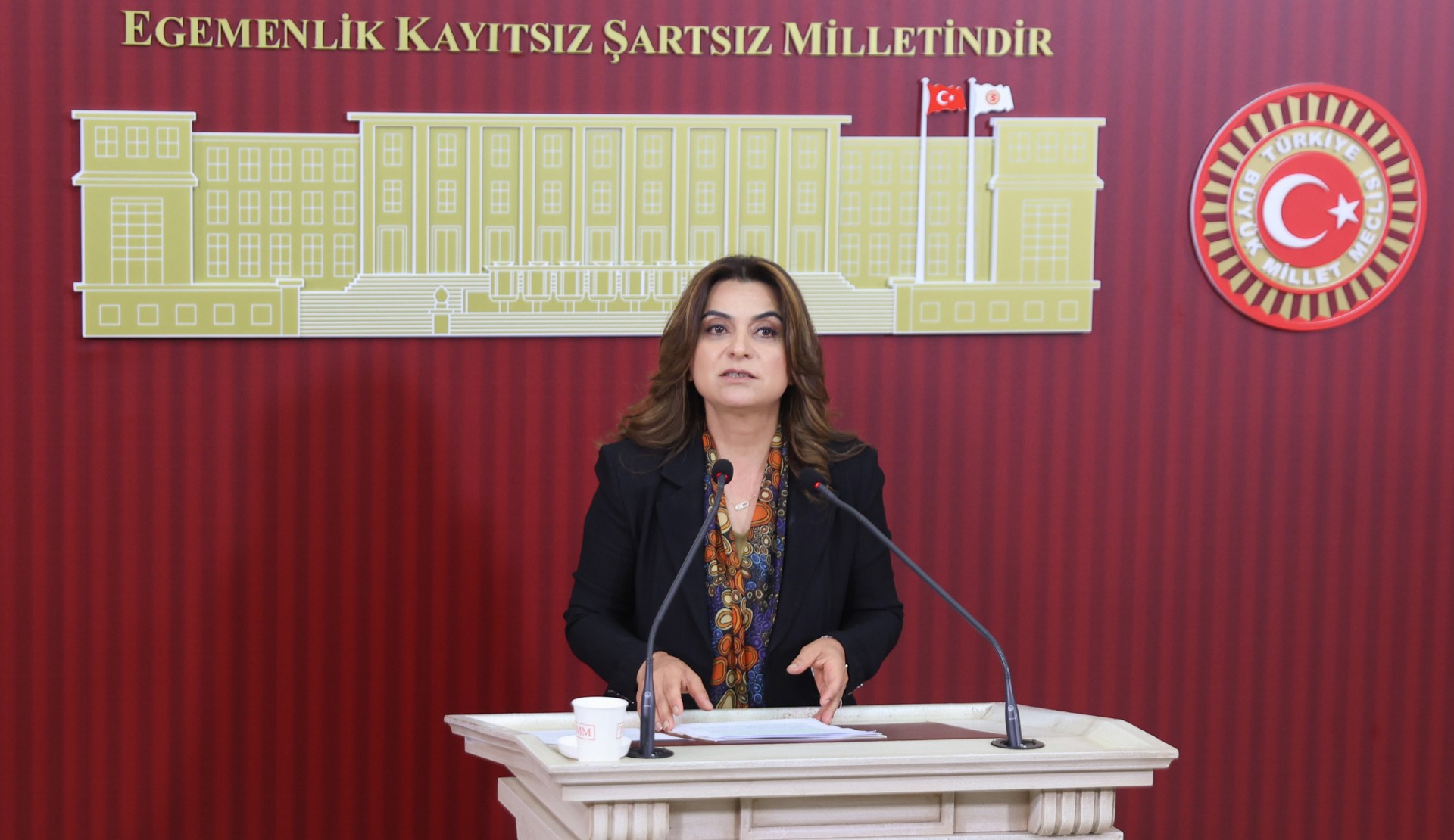 DEM Parti Grup Başkanvekili Koçyiğit: “Kimsenin kimliği, varoluşu ya da bedeni devletin müdahale alanı olamaz” Kaos GL - LGBTİ+ Haber Portalı