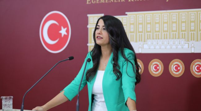 DEM Parti Milletvekili Dilan Kunt Ayan’dan Aile Bakanlığı’na: "Nefret suçları artarak devam ediyor" | Kaos GL - LGBTİ+ Haber Portalı Haber