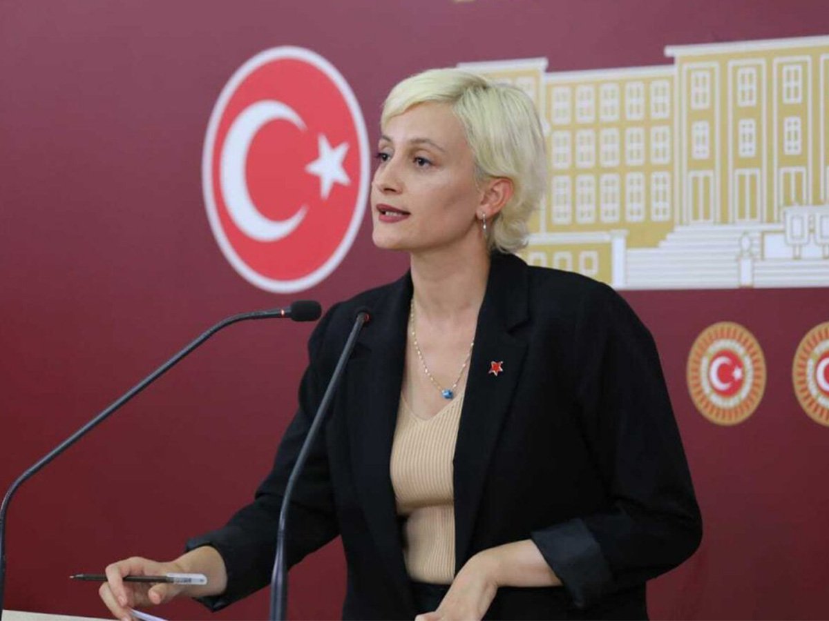 DEM Parti Milletvekili Perihan Koca’dan sansüre tepki: “Toplumu dizayn etme çabası beyhudedir” | Kaos GL - LGBTİ+ Haber Portalı Haber