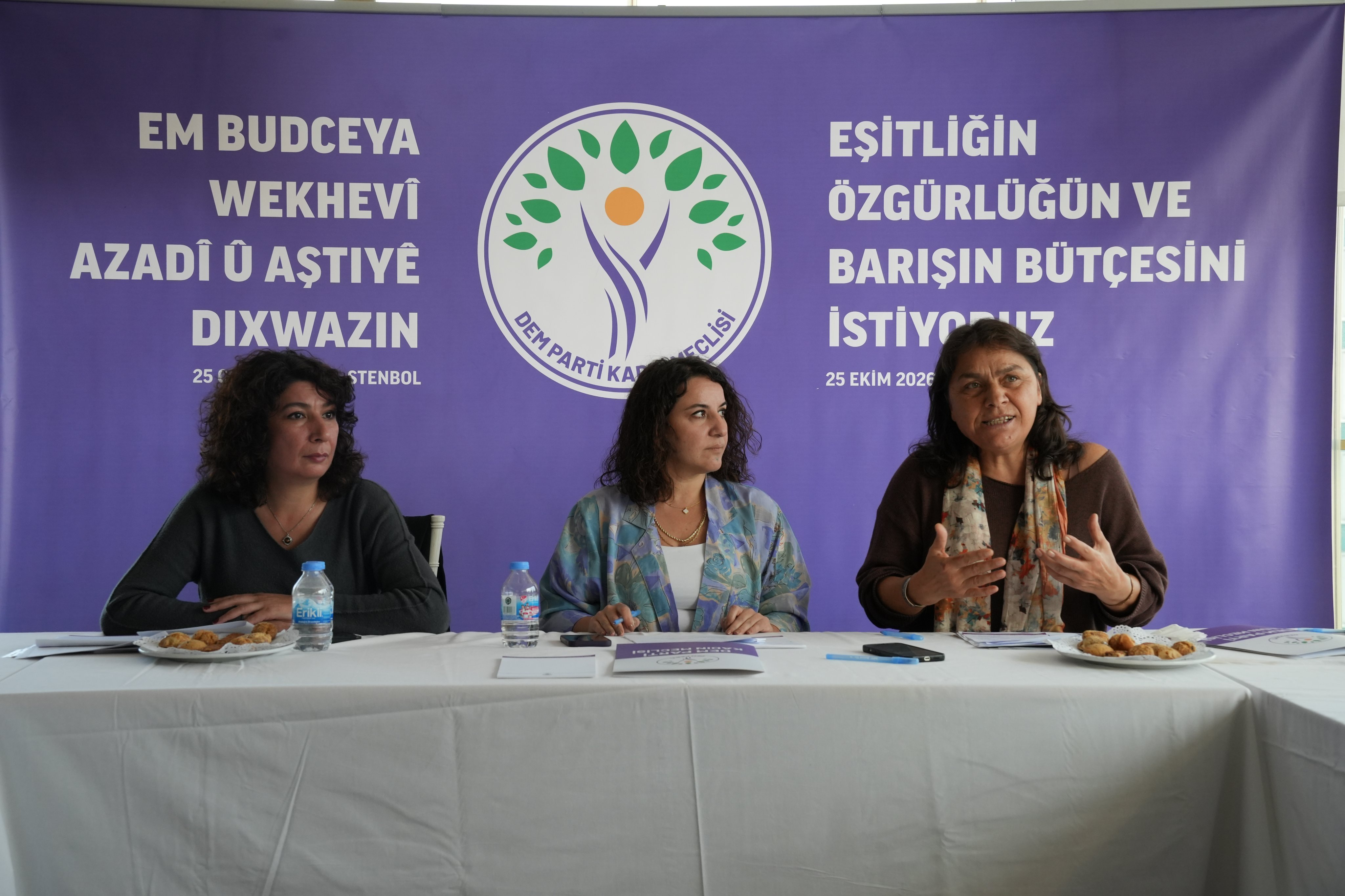 DEM Parti’nin bütçe çalıştayında LGBTİ+’ların kamusal hizmetlere erişimi ele alındı Kaos GL - LGBTİ+ Haber Portalı