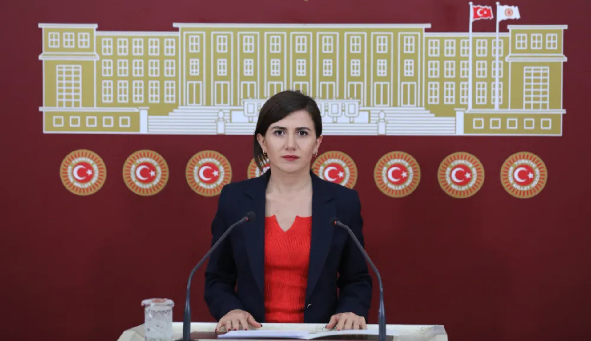 DEM Partili Sümeyye Boz’dan soru önergesi: Menopozda hormon replasman tedavisine erişim neden kısıtlı? | Kaos GL - LGBTİ+ Haber Portalı Haber