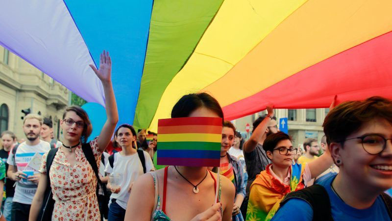 “Demokratik bir devlette ayrımcılığın yasalarla sürmesinin haklı hiçbir nedeni olamaz” Kaos GL - LGBTİ+ Haber Portalı