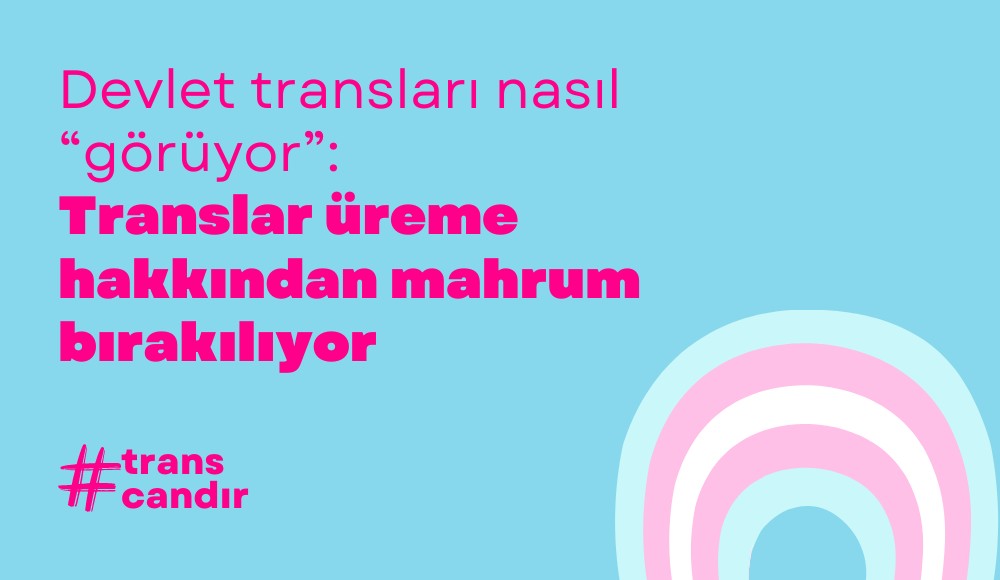 Devlet transları nasıl “görüyor”: Translar üreme hakkından mahrum bırakılıyor Kaos GL - LGBTİ+ Haber Portalı