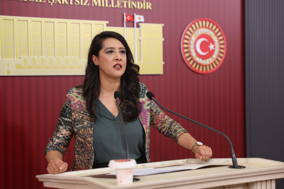 EMEP Milletvekili Karaca’dan Zoe Lila için Bakan Tekin’e soru önergesi: Lila’nın iş sözleşmesinin yenilenmemesinde bakanlığın talimatı var mı? | Kaos GL - LGBTİ+ Haber Portalı Haber
