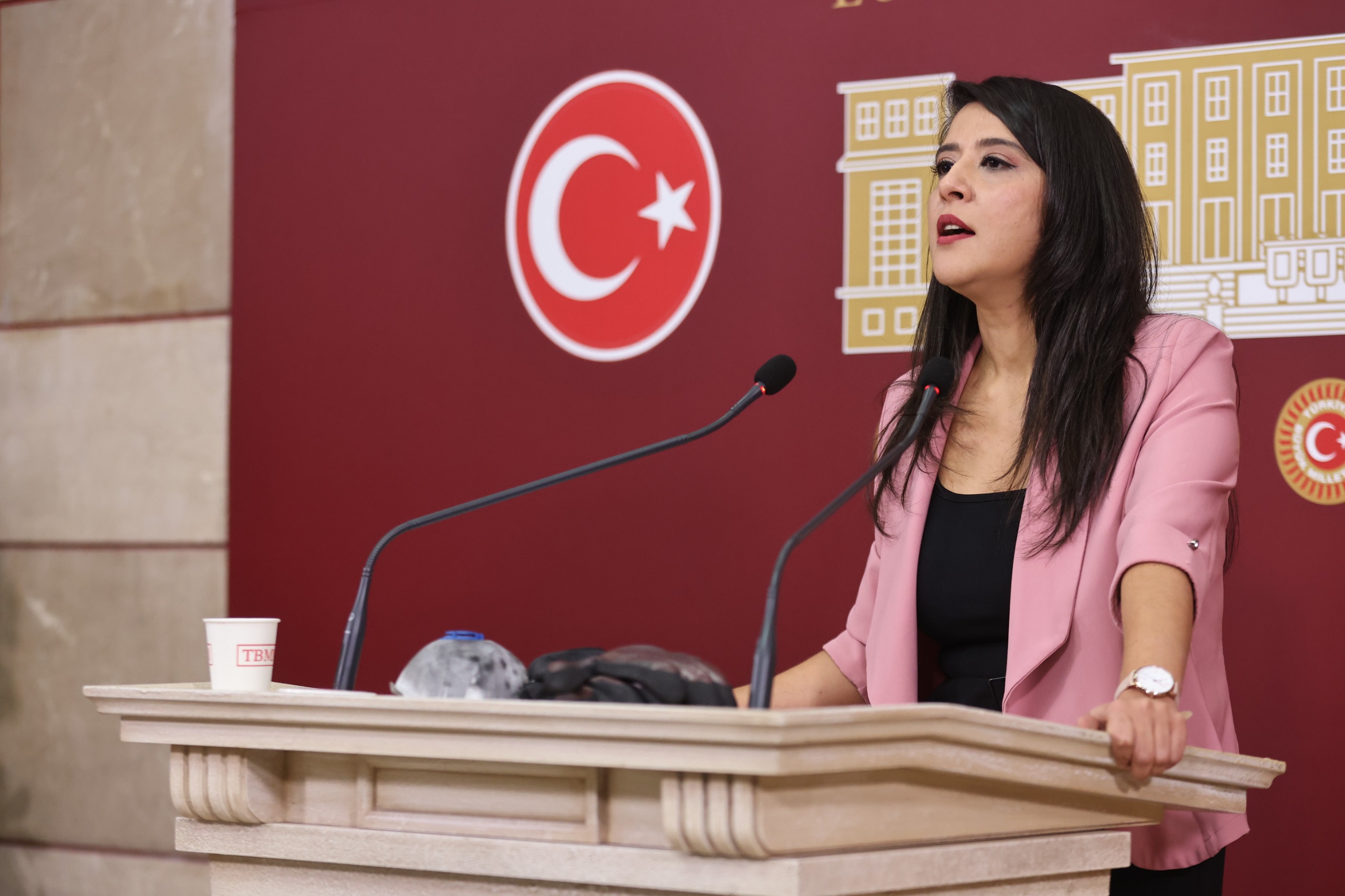 EMEP Milletvekili Karaca, Metris Cezaevi'ndeki gey ve trans mahpuslara yönelik ihlalleri Meclis'e taşıdı Kaos GL - LGBTİ+ Haber Portalı