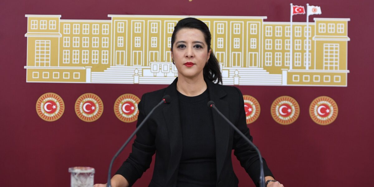 EMEP Milletvekili Sevda Karaca’dan Enes Hocaoğulları’nın tutuklanmasına dair soru önergesi  Kaos GL - LGBTİ+ Haber Portalı