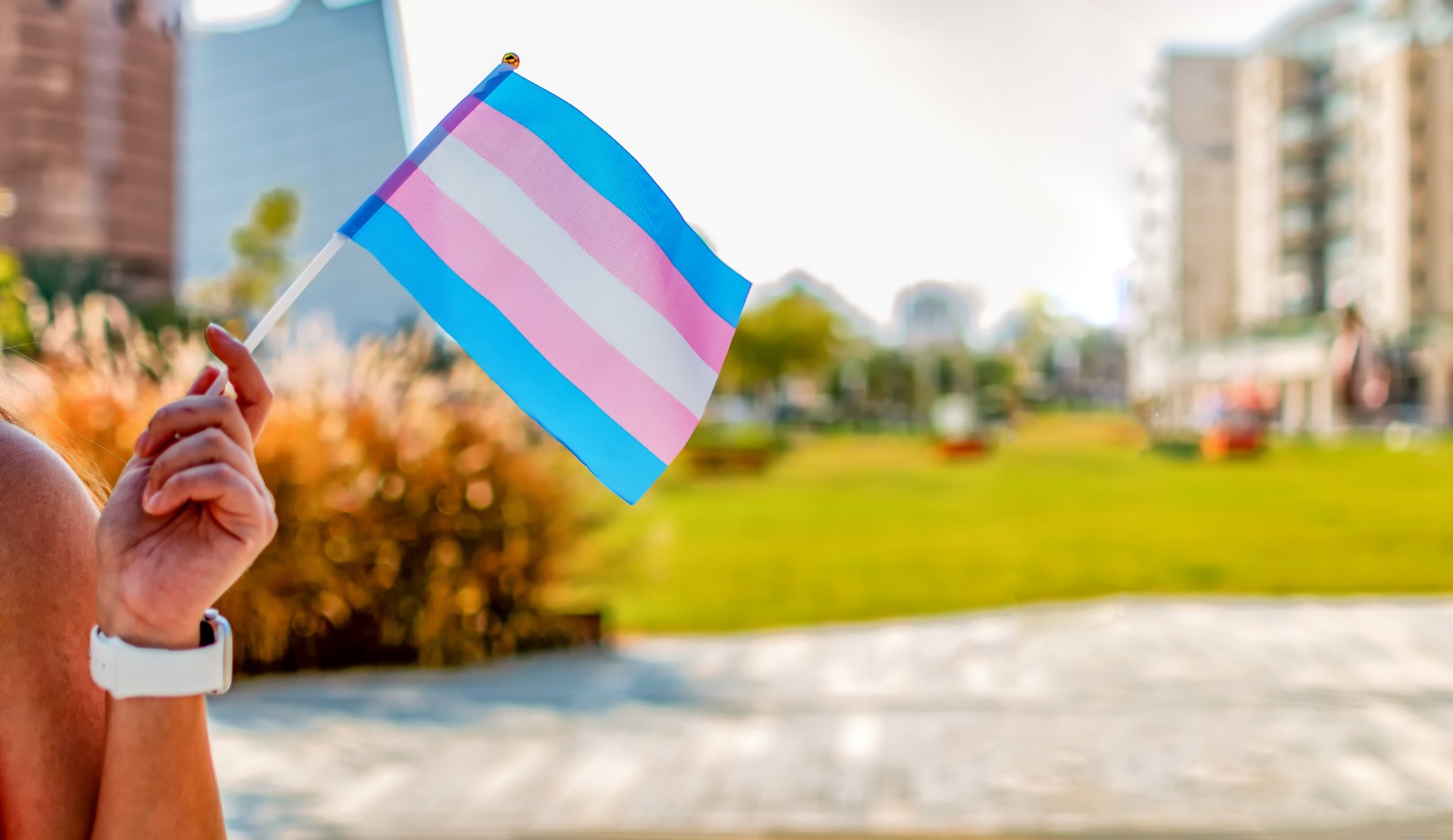EPATH issues international call: “We stand in solidarity with trans people in Türkiye” | Kaos GL - News Portal for LGBTI+ News