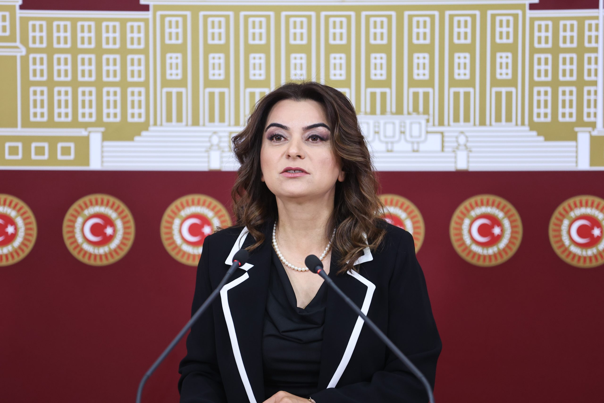 Gülistan Kılıç Koçyiğit: “Enes’in tutuklanması LGBTİ+’ların yaşam hakkına ve demokratik siyasete açılmış açık bir saldırıdır” Kaos GL - LGBTİ+ Haber Portalı