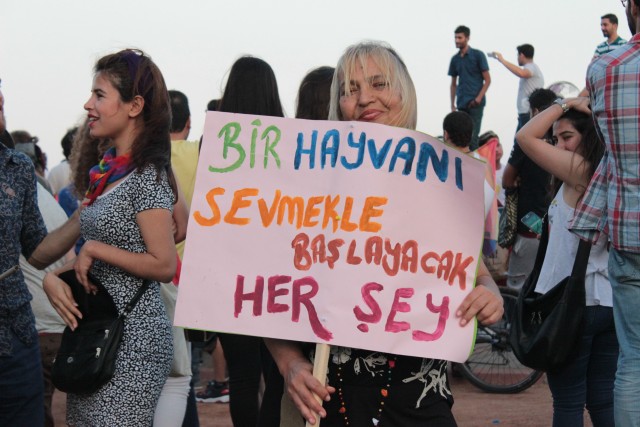 Hayvanları Koruma Günü için podcast: Burak Özgüner’in kaleminden “Belleksizleşirken hayvanlar” Kaos GL - LGBTİ+ Haber Portalı