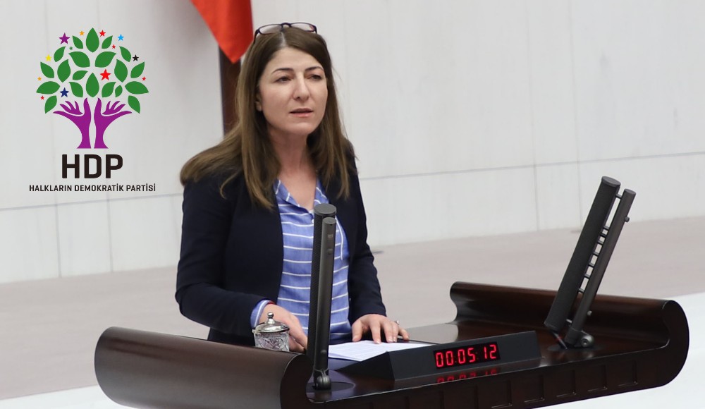 HDP Milletvekili Züleyha Gülüm’den LGBTİ+'lara Yönelik Hak İhlallerine İlişkin Araştırma Önergesi Kaos GL - LGBTİ+ Haber Portalı