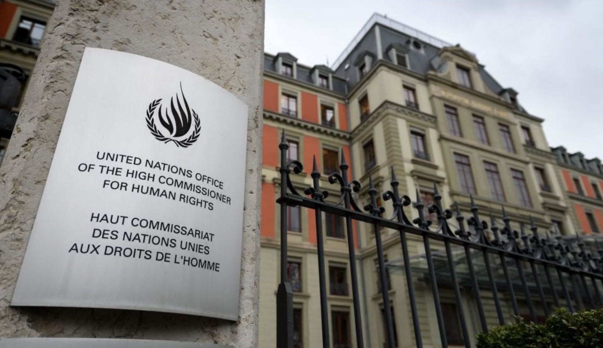 Hormon Hakkım Kolektifi’nden OHCHR’ye katkı: “Hormona erişim lütuf değil, haktır” | Kaos GL - LGBTİ+ Haber Portalı Haber