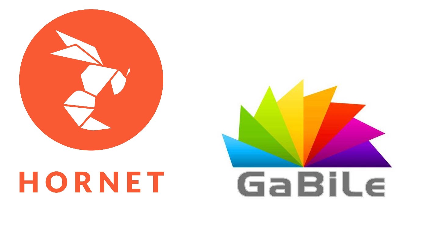 Hornet ve Gabile, sansür yasasıyla birlikte ilk kapatılan sitelerden | Kaos GL - LGBTİ+ Haber Portalı