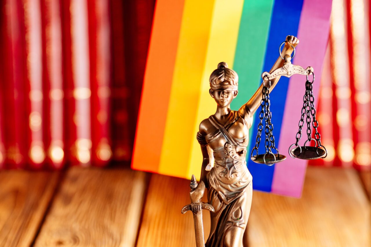 “Hukukun temel ilkeleri gereği, kişilerin varoluşlarının kriminalize edilmesi kabul edilemez” Kaos GL - LGBTİ+ Haber Portalı