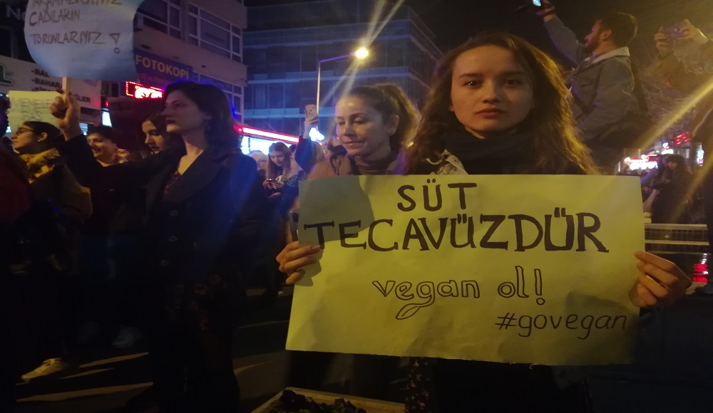 ankara-feminist-gece-yuruyusu-nden-kareler-10