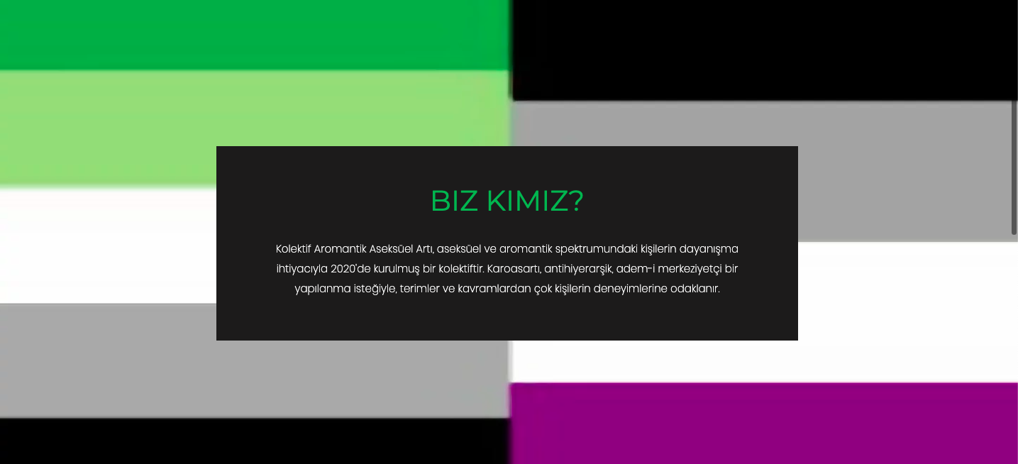 asksiz-sekssiz-bir-queer-aktivizm-de-mumkun-karoasarti-2