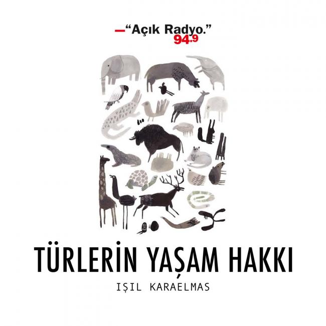 hafta-sonuna-ne-dinleyelim-1 hafta-sonuna-ne-dinleyelim-1