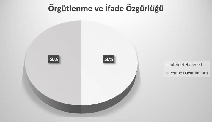 infografiklerle-2019-yilinda-translara-yonelik-gerceklesen-hak-ihlalleri-raporu-3 infografiklerle-2019-yilinda-translara-yonelik-gerceklesen-hak-ihlalleri-raporu-3