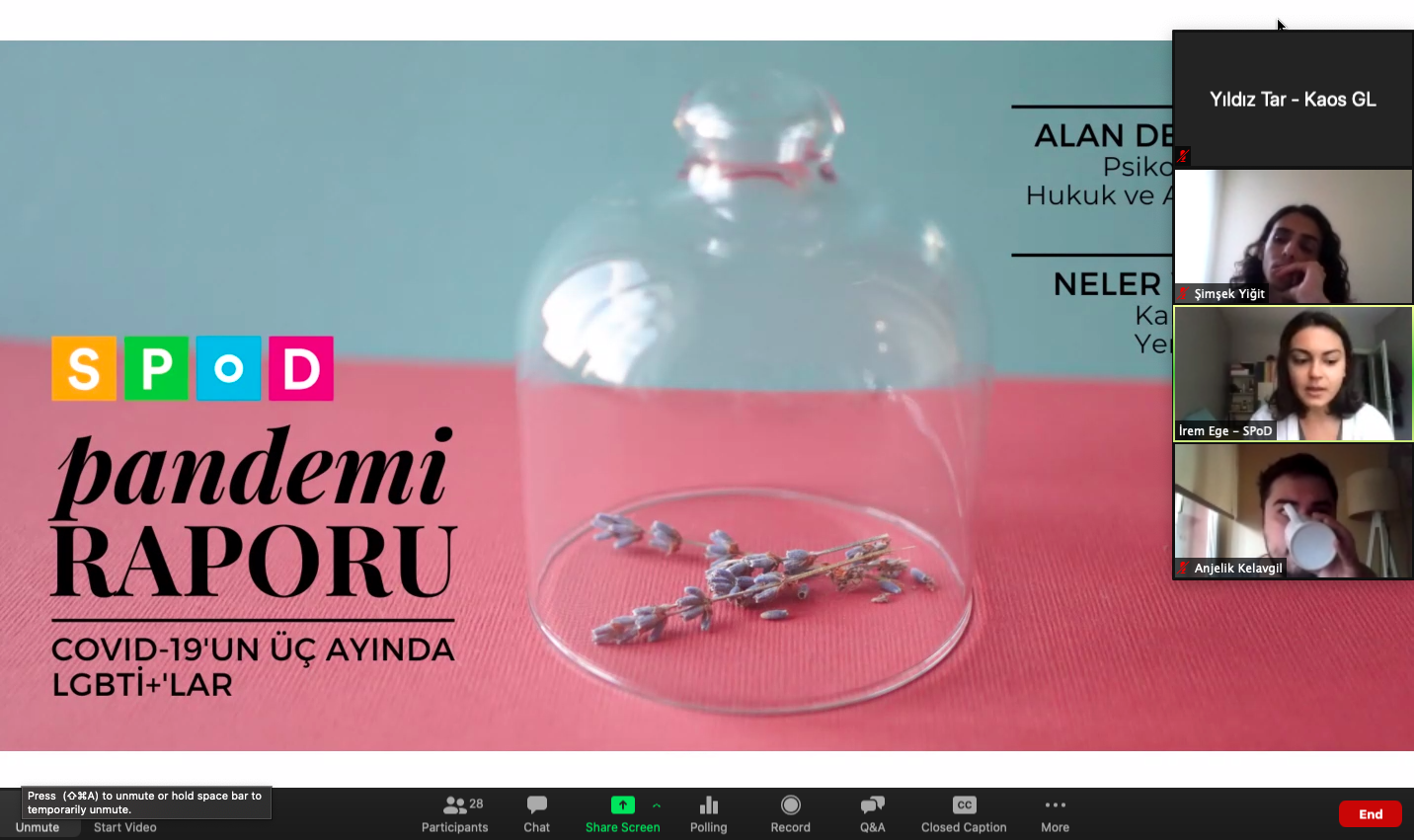 kamu-gorevlilerinin-lgbti-lari-hedef-gostermesi-fiziksel-siddeti-de-arttirdi-2 kamu-gorevlilerinin-lgbti-lari-hedef-gostermesi-fiziksel-siddeti-de-arttirdi-2