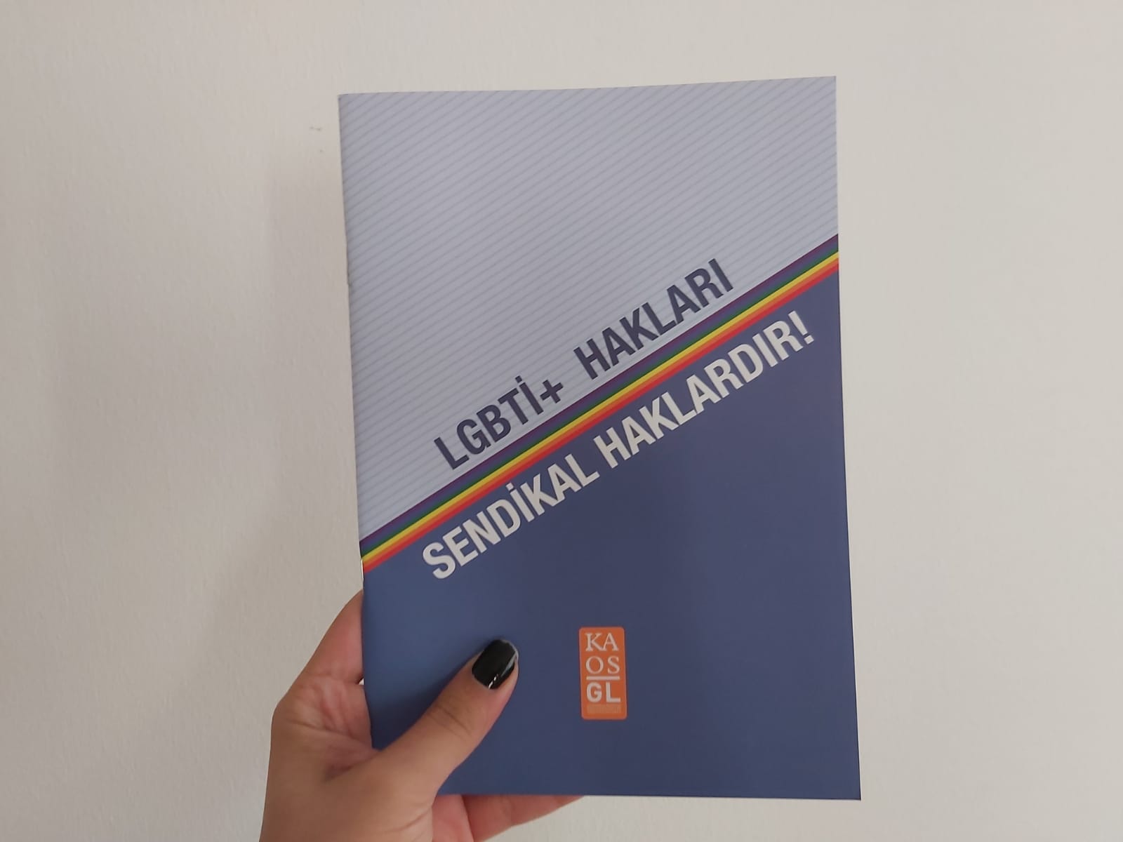 lgbti-larin-ekonomik-ve-sosyal-haklari-sendikalarin-onceligi-degil-2