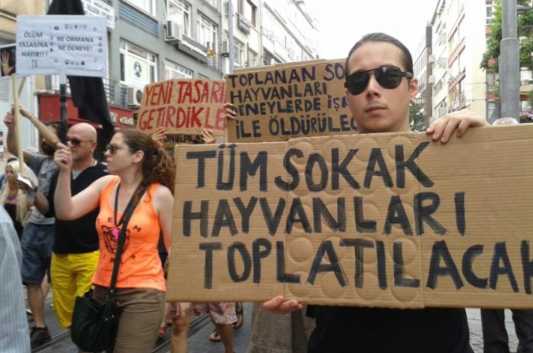 simdi-tam-da-sirasi-hayvan-haklari-mucadelesi-bir-adalet-mucadelesi-1