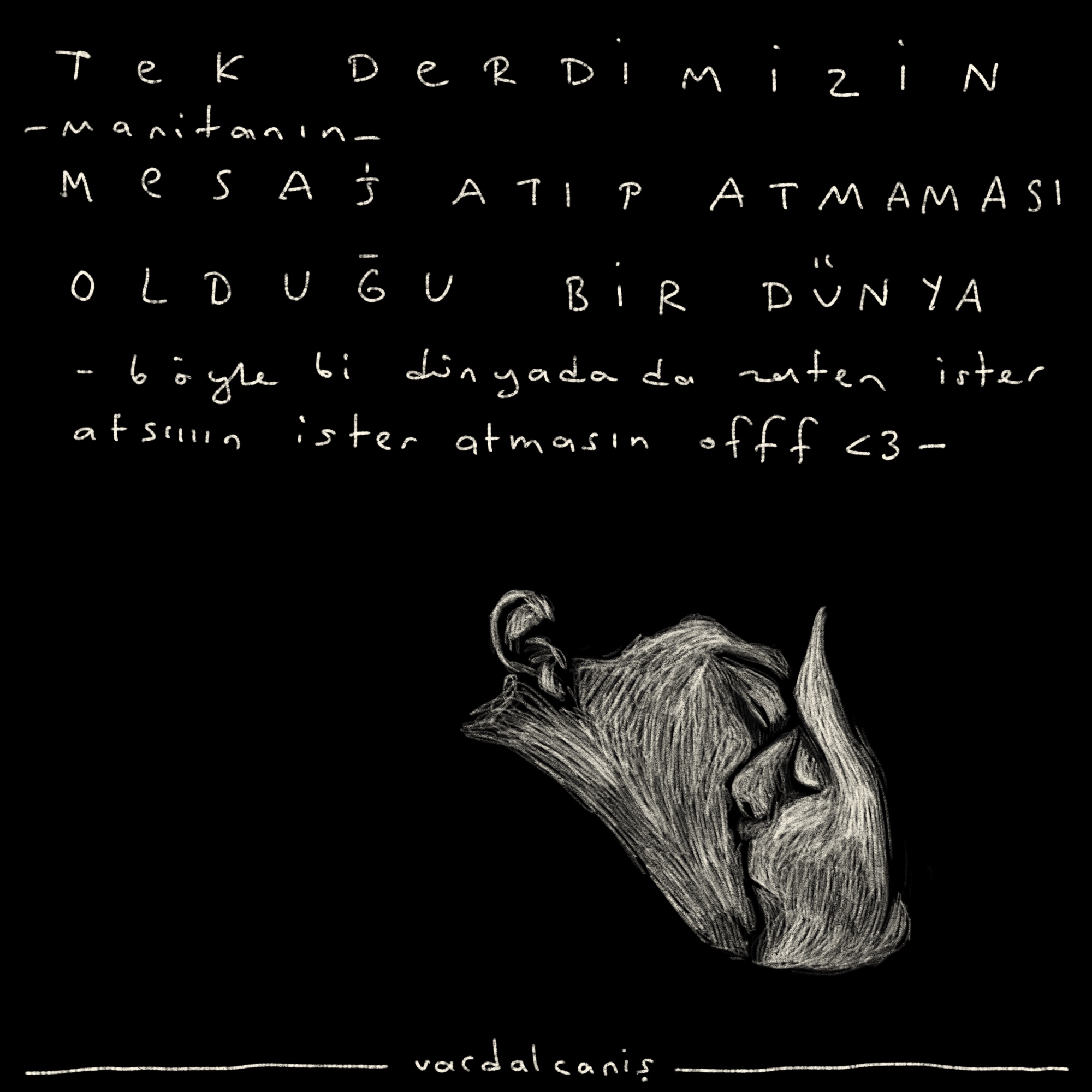 vardal-canis-neden-nefret-ettigimizi-unutsak-5