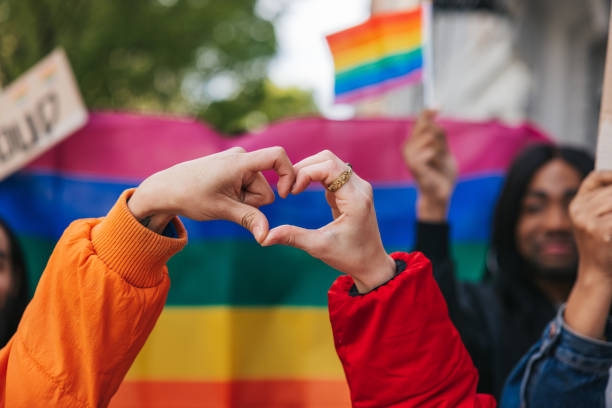 İHD Ankara Şube LGBTİ+ Komisyonu’ndan 14 Şubat açıklaması Kaos GL - LGBTİ+ Haber Portalı