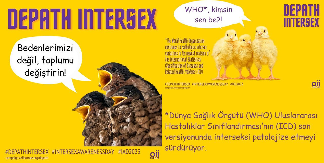 İnter Dayanışma: Bedenlerimizi değil, toplumu değiştirin! | Kaos GL - LGBTİ+ Haber Portalı Haber