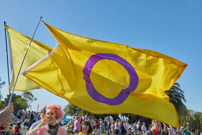 İnterseks Dayanışma Günü için yedi öneri Kaos GL - LGBTİ+ Haber Portalı