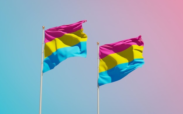 İş hayatından panseksüel sesler: “Yasal olarak beni koruyacak bir şeyler olmasını isterdim” Kaos GL - LGBTİ+ Haber Portalı