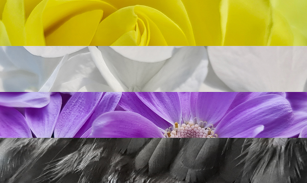 Kanada mahkemesi hükmetti: Yanlış cinsiyet atamak bir insan hakları ihlâlidir | Kaos GL - LGBTİ+ Haber Portalı