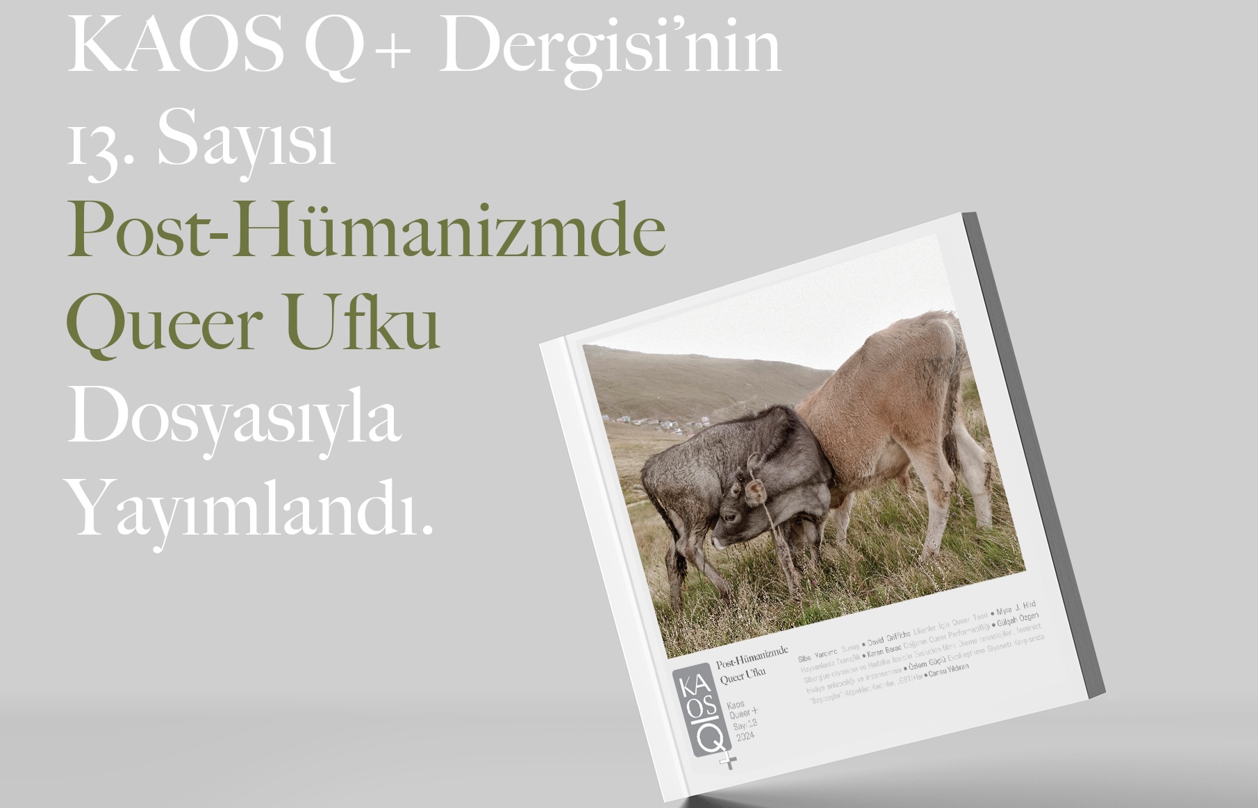 KaosQ+ 13. sayısı çıktı: Post-hümanizmde queer ufku Kaos GL - LGBTİ+ Haber Portalı