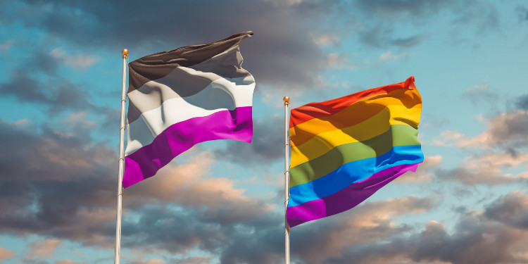 Kavramlar: Aseksüel, demiseksüel, gri aseksüel ve aromantik Kaos GL - LGBTİ+ Haber Portalı