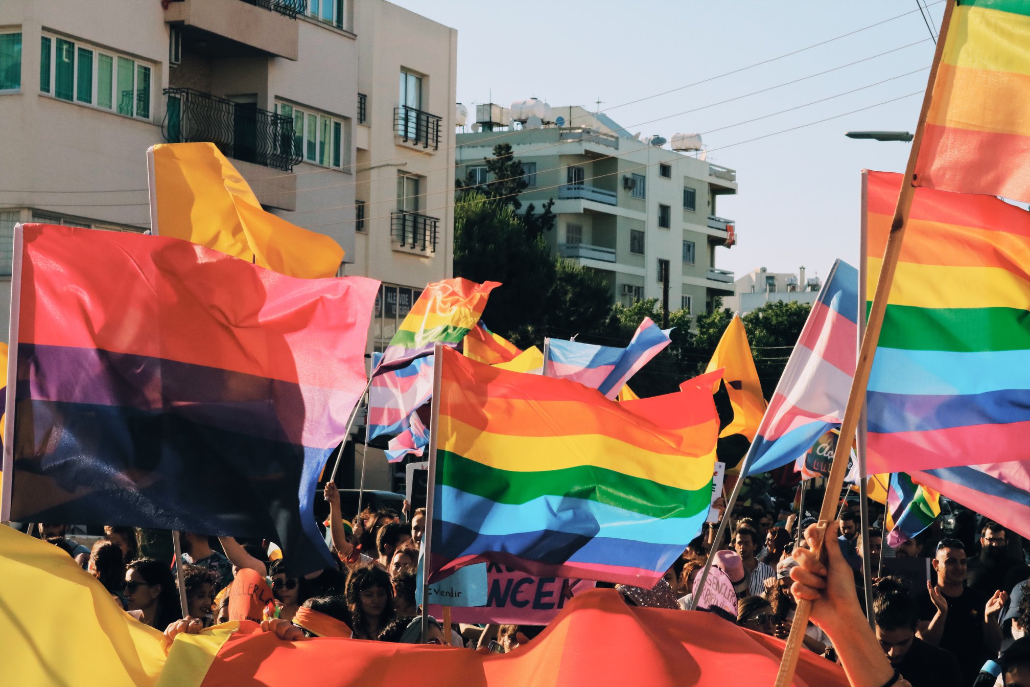 Kıbrıs’ın kuzeyinde mücadele devam! Kaos GL - LGBTİ+ Haber Portalı