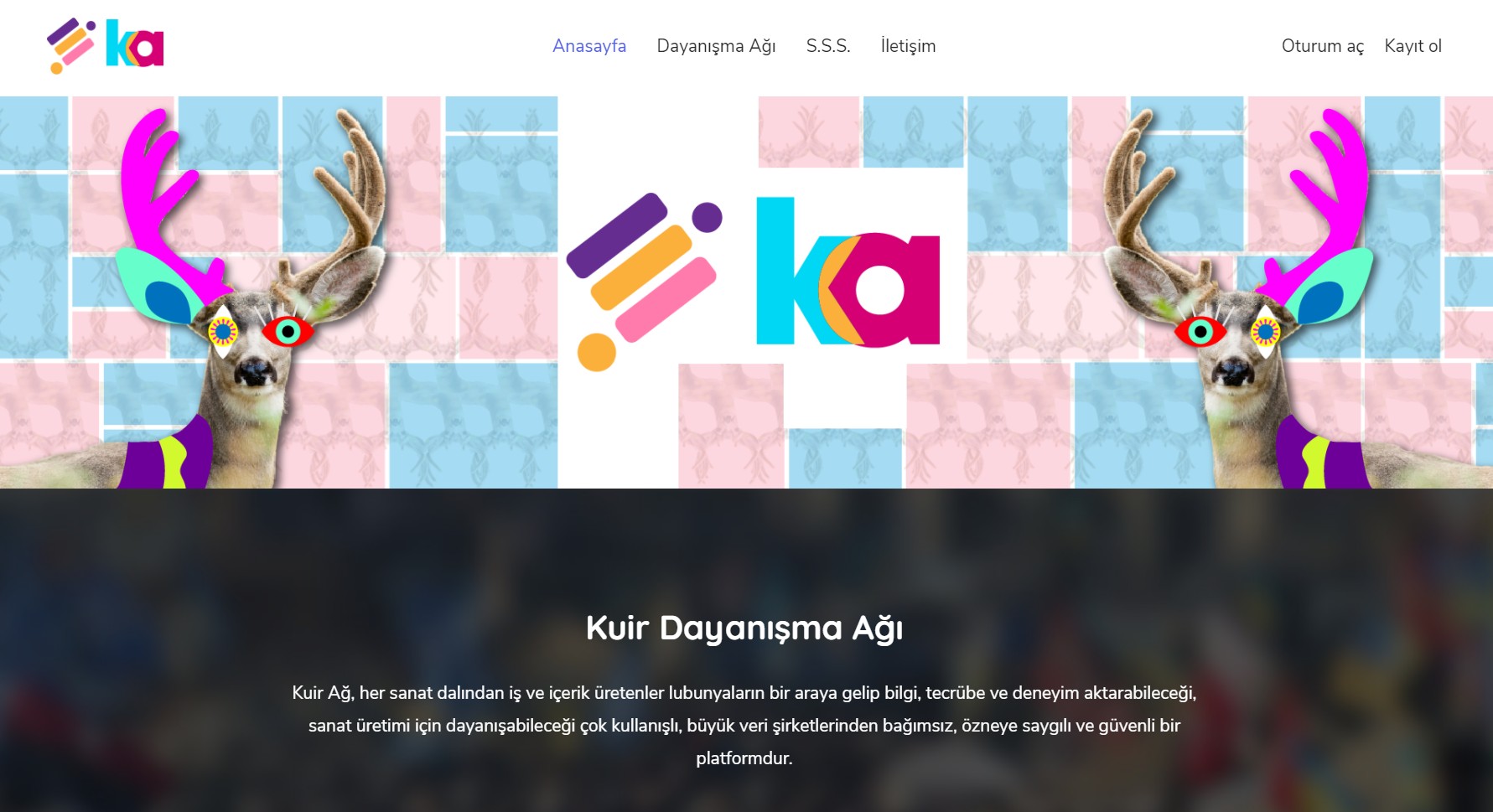 Kuir Dayanışma Ağı web sitesi yayında Kaos GL - LGBTİ+ Haber Portalı