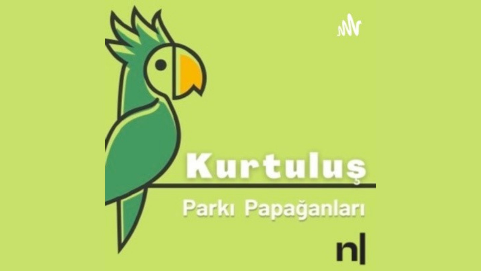 Kurtuluş Parkı Papağanları’nın son konuğu: Esmeray Kaos GL - LGBTİ+ Haber Portalı